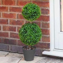Smart Garden - Duo Topiary Tree