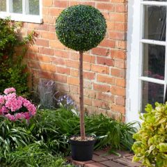 Smart Garden - Uno Topiary Tree 120cm