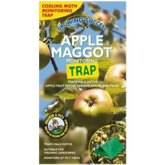 Growing Success - Apple Maggot Monitoring Trap