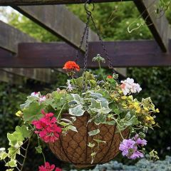 Tom Chambers - Decorative Hanging Basket