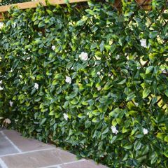 Witchhedge - Expanding Artificial Hedge Screening - 1m x 2m