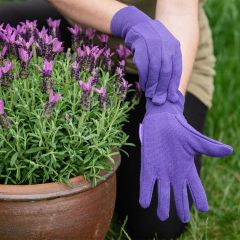 Kent & Stowe - Jersey Purple Cotton Grip Gloves