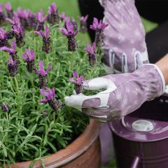 Kent & Stowe - Purple Flutter Bugs Leather Gloves