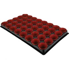 Grow It - Seed & Cutting Pot Tray - 40 Pack