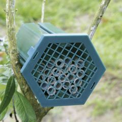CJ Wildlife - Solitary Bee Nest Box