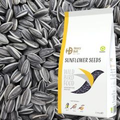 Henry Bell - Black Sunflower Seeds - 2.8kg