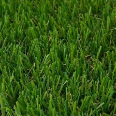 Trent Artificial Turf (5m Wide Roll)