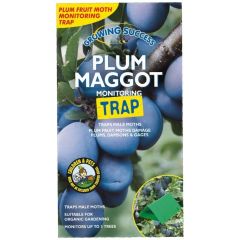 Growing Success - Plum Maggot Monitoring Trap