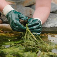 Kent & Stowe - Green Water Resistant Super Grip Gloves