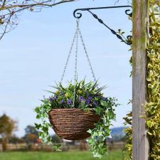Smart Garden - Easy Basket - Summer Bloom