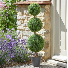 Smart Garden - Trio Topiary Tree
