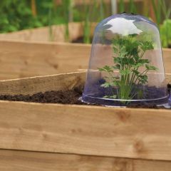 Grow It - Bell Cloche - Pack of 3