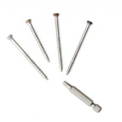 Earlswood - Hollow Decking Coloured Screw (Single)