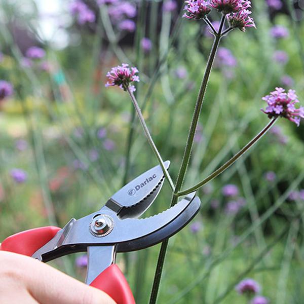 Darlac - Stainless Steel Cut 'N' Hold Pruner